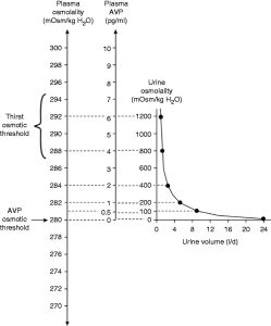 Estimulación osmótica de la liberación de ADH.