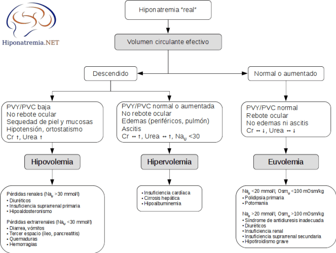 Clasificación de la hiponatremia según la volemia