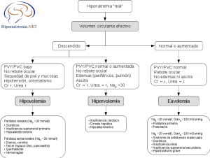Clasificación de la hiponatremia según la volemia